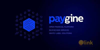 ICO Paygine