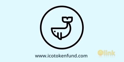 ICO Initial Coin Offering