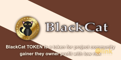 ICO BlackCat