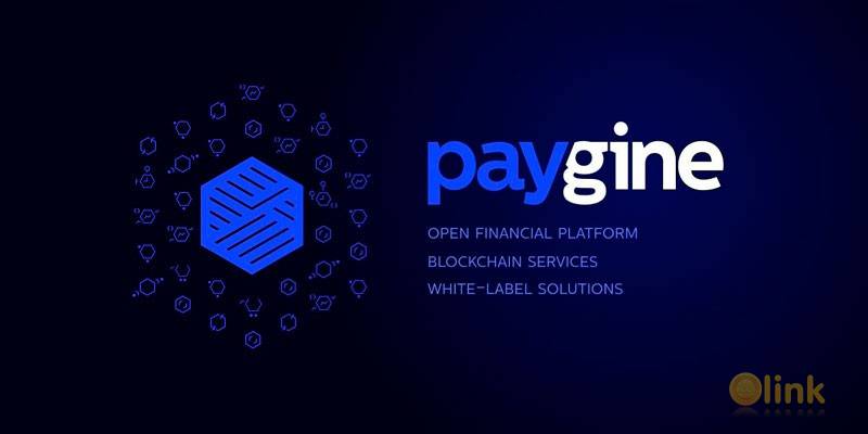 Paygine ICO