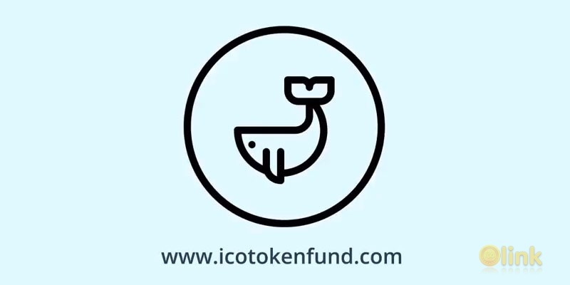 Initial Coin Offering ICO