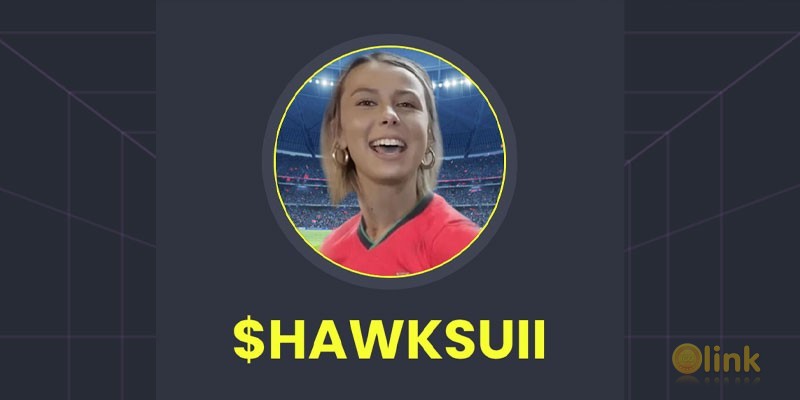 HAWKSUII ICO