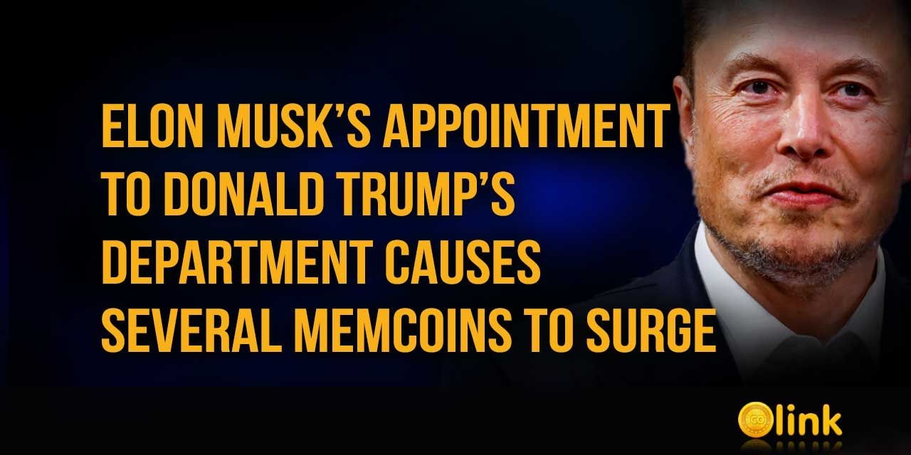 Elon Musk’s Appointment to Donald Trump’s Department Causes Several Memcoins to Surge