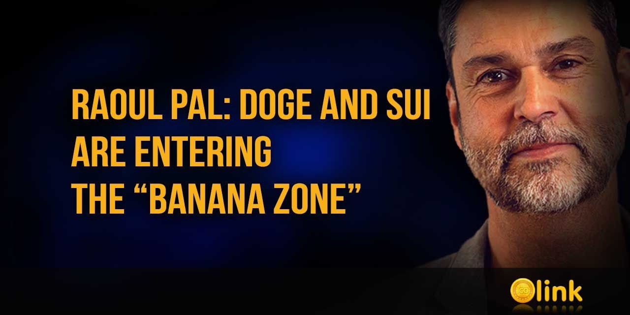 Raoul Pal - DOGE and SUI are entering the “banana zone”