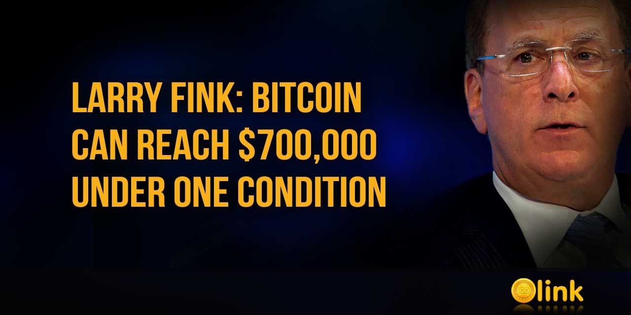 Larry Fink Bitcoin