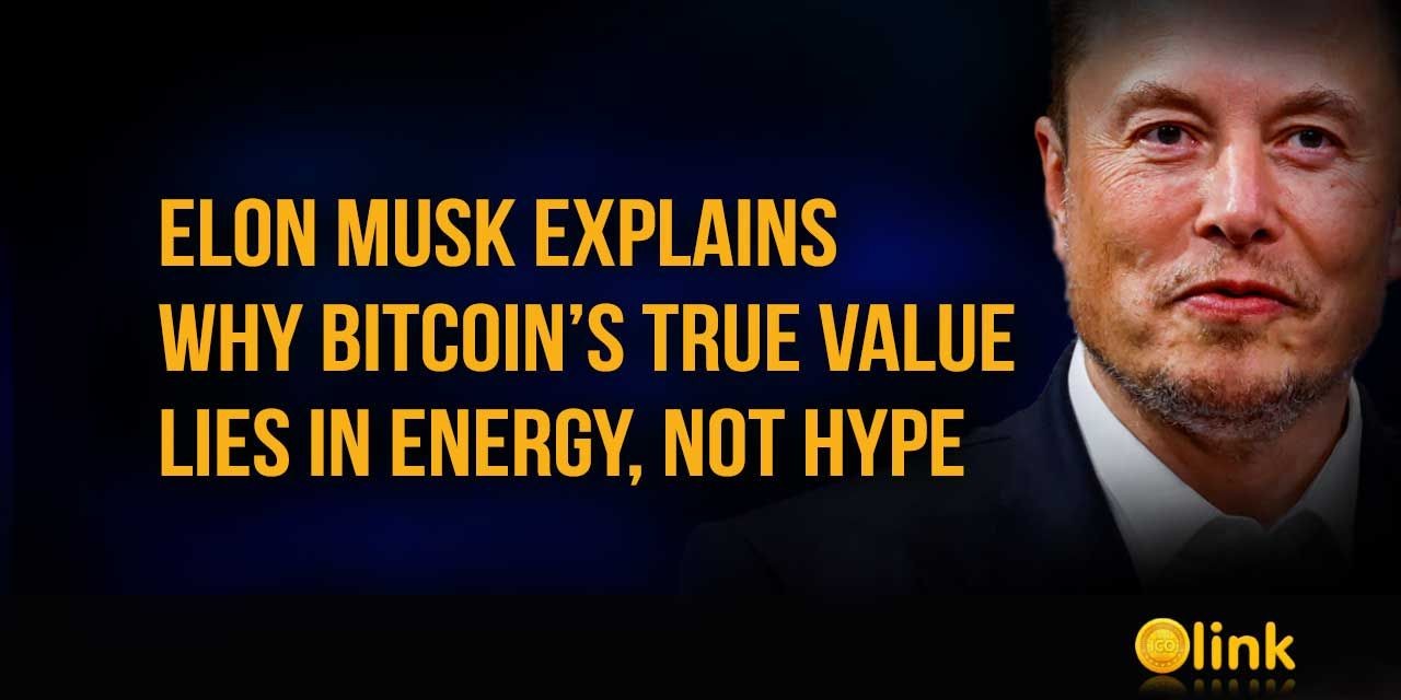 Elon Musk Bitcoin Value