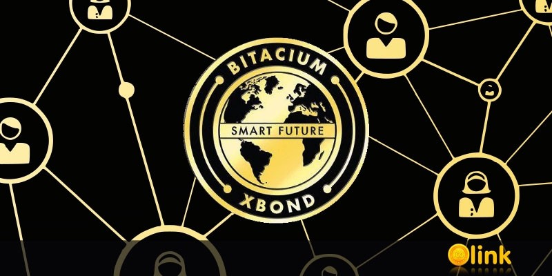 PRESS-RELEASE-Bitacium-prepares-for-the-most-Incredible-launch