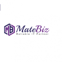 matebiz pvt. ltd