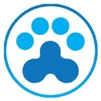 DOGCHACOIN